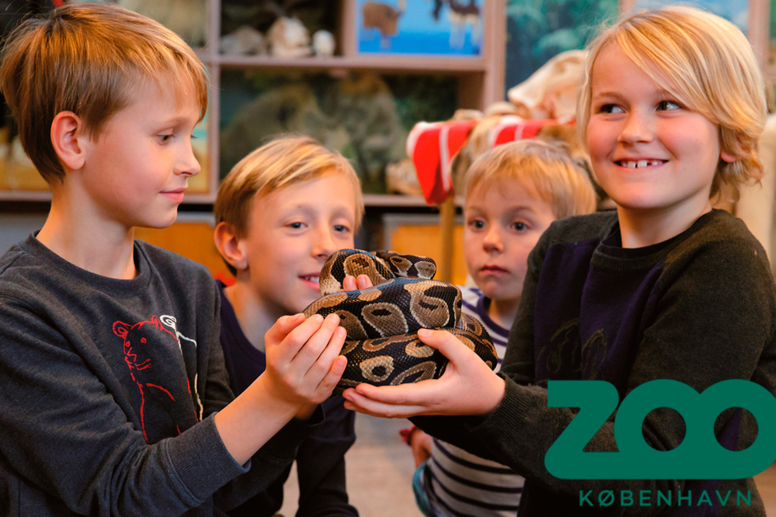 København Zoo - Årskort Barn - Kultur og Fritid - GO DREAM