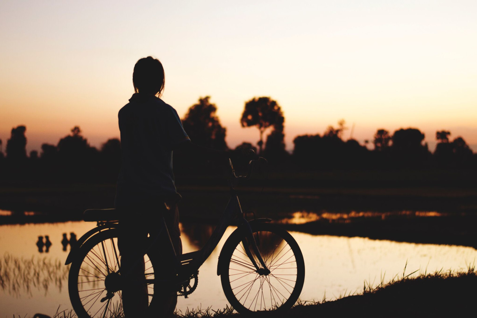 Natur, Ro Og Cykelture For 2 - Rejse og Ophold - GO DREAM