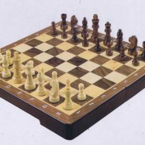 Chess Large