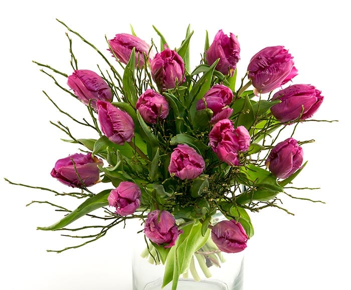 Frisk buket lilla tulipaner - Send blomster med Bloomit