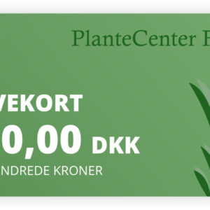 Gavekort kr. 300,-