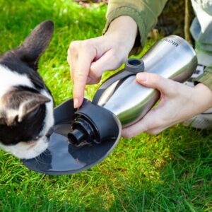 Vandflaske til Hund - Utenu