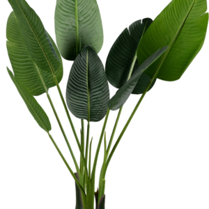 Strelitzia, Kunstig plante, grøn, H108x61x50 cm
