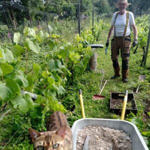 Vinsmagning & rundvisning på Annisse Vingård