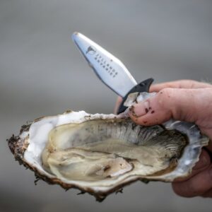 ⌀sterssafari i Limfjorden
