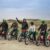 Guidet Puch Maxi Tur med Maxitours